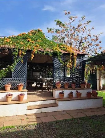 El Tabobo Sl Güimar