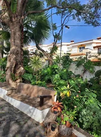 Apartman El Tabobo Sl Güimar